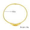 Wholesale Women's Fashion Geometric Titanium Steel Round Hoop Necklace With Electroplating