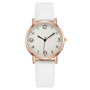 Wholesale Women's Fashion Quartz Watch With Alloy Case Leather Strap And Round Dial