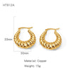 Wholesale Women's Geometric Copper Earrings With Texturized Electroplating