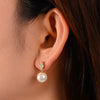 Wholesale Women's Geometric S925 Sterling Silver Pearl Inlaid Clover Earrings With Micro Inlaid Zircon