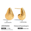 Wholesale Women's Geometric Stainless Steel And Titanium Steel Earrings With Vacuum Real Gold Plating In Pvd Furnace