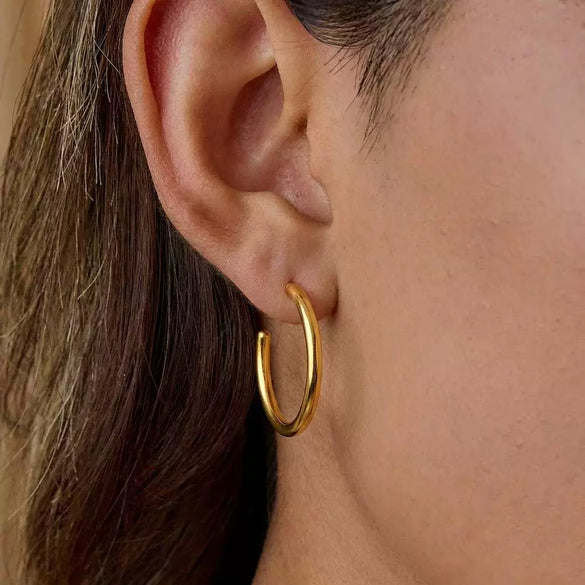Wholesale Women's Geometric Stainless Steel And Titanium Steel Vacuum Real Gold Plated Hoop Earrings