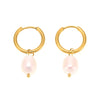 Wholesale Women's Geometric Stainless Steel Earrings With Freshwater Pearl 18K Gold Plated