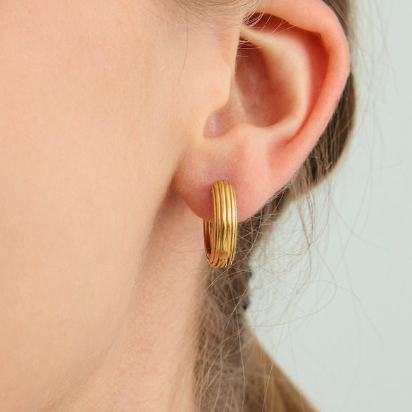 Wholesale Women's Geometric Stainless Steel Electroplated Earrings Light Luxury Style