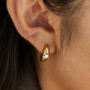 Wholesale Women's Geometric Stainless Steel Electroplated Earrings Light Luxury Style