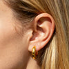 Wholesale Women's Geometric Stainless Steel Electroplated Earrings Luxury Highend Jewelry