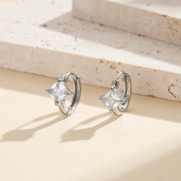 Wholesale Women's Geometric Stainless Steel Electroplated Zirconinlaid Earrings Hoops Fashion Ear Accessories