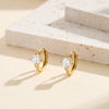 Wholesale Women's Geometric Stainless Steel Electroplated Zirconinlaid Earrings Hoops Fashion Ear Accessories