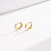 Wholesale Women's Geometric Titanium Steel Electroplated Earrings