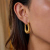 Wholesale Women's Geometric Ushaped Stainless Steel Earrings With Vacuum Real Gold Plating In Pvd Furnace And Minimalist Style