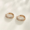 Wholesale Women's Geometric Zircon Earrings With Electroplating