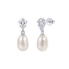 Wholesale Women's Geometric Zirconia 925 Silver Earrings