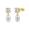 Wholesale Women's Geometric Zirconia 925 Silver Earrings