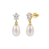 Wholesale Women's Geometric Zirconia 925 Silver Earrings