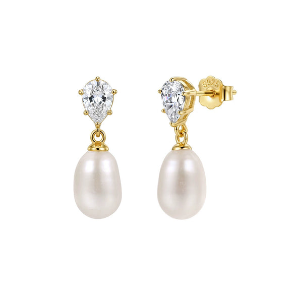 Wholesale Women's Geometric Zirconia 925 Silver Earrings