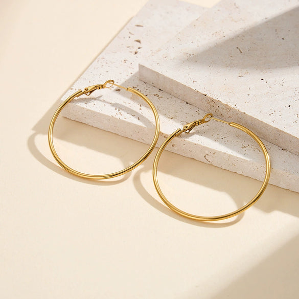 Wholesale Women's Glamorous Geometric Stainless Steel Electroplated Earrings With Original Design