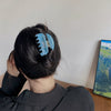 Wholesale Women's Handmade Acetic Acid Hair Clips Small Fresh Style