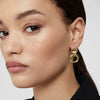 Wholesale Women's Highend Geometric Stainless Steel Electroplated Hollow Circle Earrings