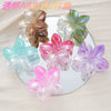 Wholesale Women's Highend Plastic And Resin Hair Gripper With Flower Design And Baking Paint Process