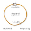 Wholesale Women's Ins Style Geometric Gold Plated Stainless Steel Carabiner Pendant Thick Chain Necklace