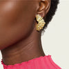Wholesale Women's Ins Style Pleated Texture Titanium Steel And Stainless Steel Leaf Earrings With Pvd Furnace Vacuum Real Gold Plating