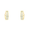 Wholesale Women's Jewelry Copper Alloy Geometric Style Electroplated Earrings