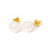 Wholesale Women's 18K Goldplated Stainless Steel Pearl Earrings With Vacuum Plating 18K In Furnace Ins Style Minimalist Design