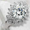 Wholesale Women's Light Luxury Exaggerated Finger Ring Copper Geometric Style Zircon Treatment