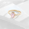 Wholesale Women's Light Luxury Geometric Ice Flower Cut Gold Plated S925 Sterling Silver Ring