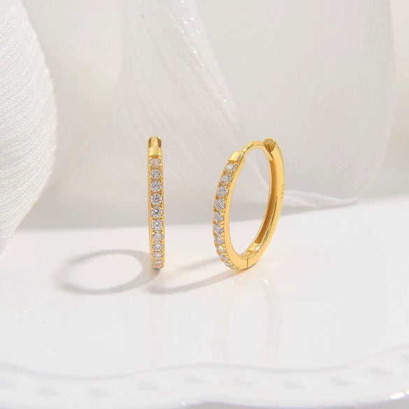 Wholesale Women's Light Luxury Geometric S925 Sterling Silver Zirconia Inlaid Earrings
