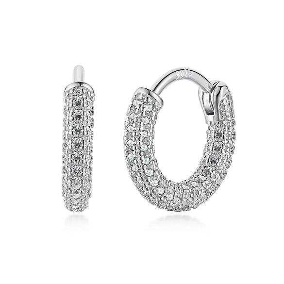 Wholesale Women's Light Luxury Geometric 925 Sterling Silver Earrings With Electroplating Design