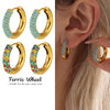 Wholesale Women's Light Luxury Geometric Titanium Steel Stainless Steel Electroplated Ferris Wheel Circle Earrings