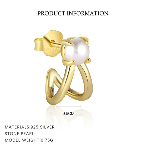 Wholesale Women's Light Luxury Heart Shape 925 Sterling Silver Earrings With Zirconia
