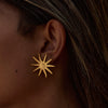 Wholesale Women's Light Luxury Highend Geometric Stainless Steel Electroplated Earrings