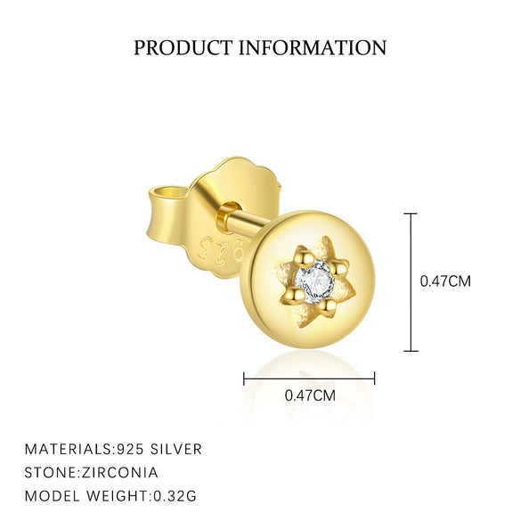 Wholesale Women's Light Luxury S925 Sterling Silver Star Shape Zircon Earrings