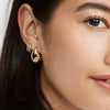 Wholesale Women's Light Luxury Stainless Steel Geometric Water Drop Earrings With Electroplating