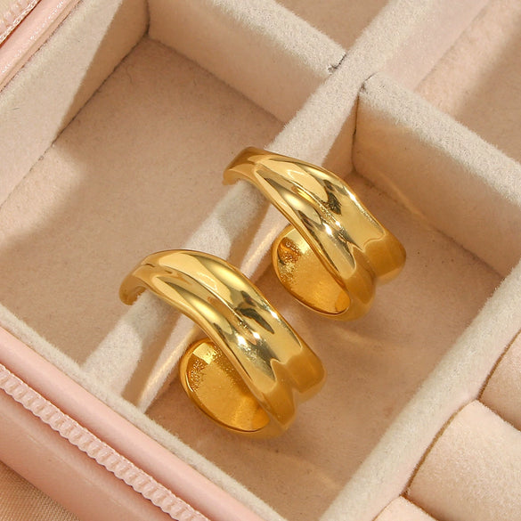 Wholesale Women's Light Luxury Stainless Steel 18K Gold Plated Irregular Curve Geometric Earrings With Electroplating