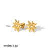 Wholesale Women's Light Luxury Style Stainless Steel Stud Earrings With Star Pattern And Cross Shape Electroplated
