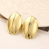 Wholesale Women's Metal Geometric Exaggerated Temperament Electroplated Earrings