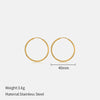 Wholesale Women's Minimalist Geometric Stainless Steel Electroplated Hoop Earrings