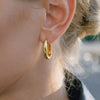 Wholesale Women's Minimalist Geometric Ushaped Stainless Steel Earrings With Vacuum Real Gold Plating