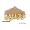 Wholesale Women's Modern Minimalist Geometric Plastic Electroplated Starfish Irregular Lava Drop Earring Set