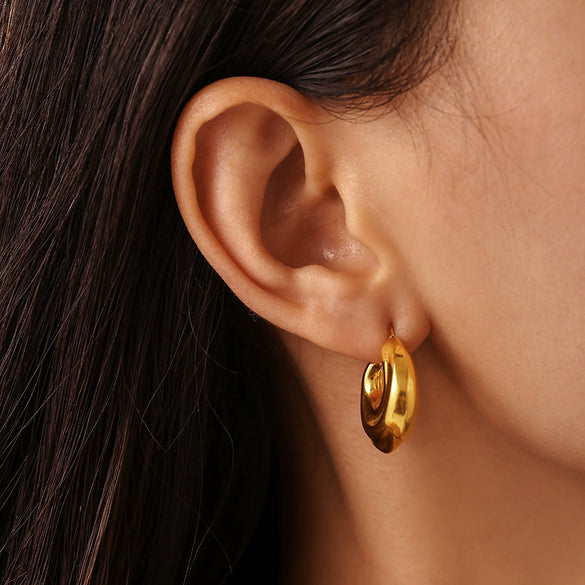 Wholesale Women's Moon Hollow Earrings Stainless Steel 18K Gold Plated Texturized Electroplated Natural Geometric Style