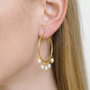 Wholesale Women's Natural Freshwater Pearl And Stainless Steel Geometric Earrings With Vacuum Real Gold Plating In Pvd Furnace