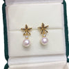 Wholesale Women's Natural Freshwater Pearl Earrings S925 Sterling Silver Needle 18K Goldfilled Smart Micropaved Zircon Starfish Shape