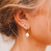 Wholesale Women's Natural Freshwater Pearl Earrings With Star Pendant In Stainless Steel And Pvdp Furnace Real Gold Treatment