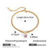 Wholesale Women's Natural Style Geometric Stainless Steel Color Drop Oil Butterfly Anklet Jewelry