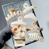 Wholesale Women's Plastic Resin Hair Clips Simple Geometric Style Baking Paint Process