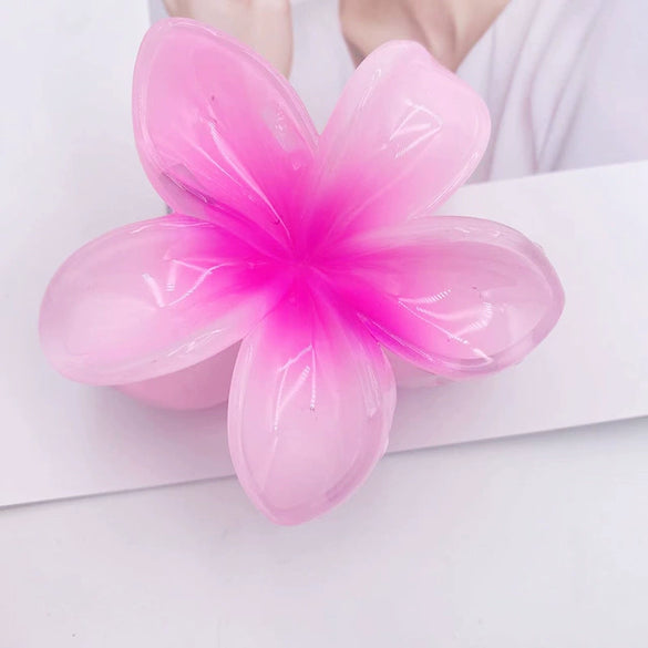 Wholesale Women's Plastic Resin Hairpin With Baking Paint For Spring And Summer