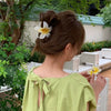 Wholesale Women's Plastic Resin Hairpin With Baking Paint For Spring And Summer